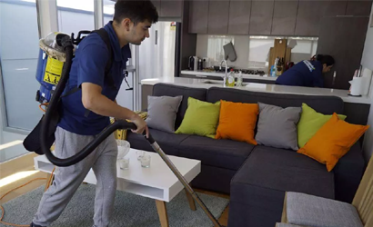 After Sofa Cleaning